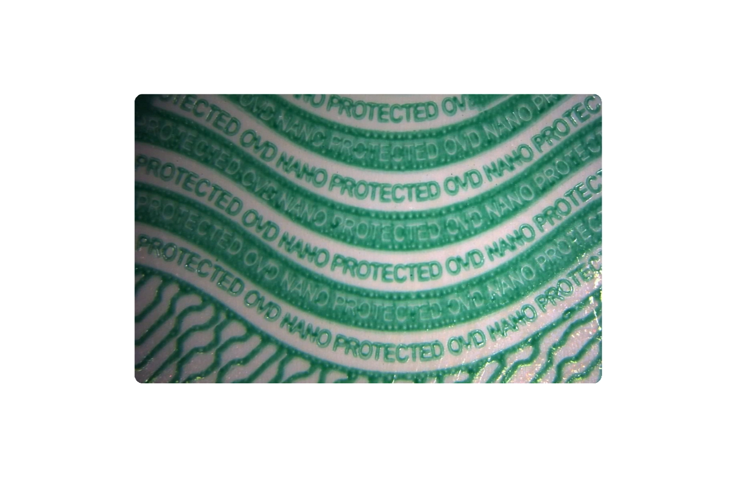 The MicroText is printed in positive and negative in this area. This makes the details in high-resolution security printing clear. The printed image is unique and can only be copied with difficulty.