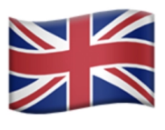 Link to English website